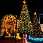 ต้นคริสต์มาสปลอมแคนดี้ ขนาด5เมตร