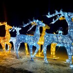 ของตกแต่งบ้านวันคริสต์มาส กวางไฟคริสต์มาส