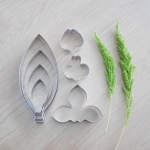 Anucha fair (Medium)