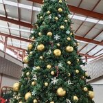 ตามล่าถ่ายแบบต้นคริสต์มาสสวยๆที่นี่(ประเทศไทยเรานี่เอง)