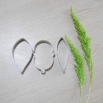 C. warscewiczii l (Small)