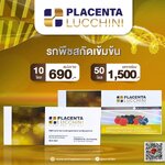 NEW Lucchini Plant Placenta (Switzerland)