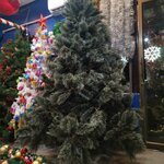 ต้นคริสต์มาสแต่งบ้าน