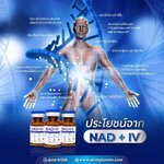 NAD+ IV อย.ไทย ( ราคาแบ่งขาย 1 ขวด )
