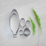 Paph.Concolor (Large)