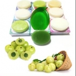 สบู่ GP สูตรมะขามป้อม (Emblica)