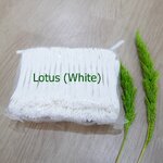 เกสรบัว สีขาว