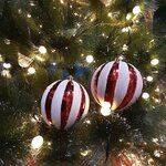 รวบรวมของตกแต่งงานเลี้ยงวันคริสต์มาส