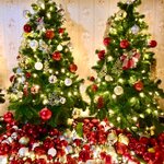 ต้นคริสต์มาสให้เช่า(ประเทศไทย)