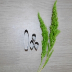 Wan see tit (Super small)