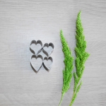 An thurium andraenum (Super small)