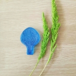 V.Coerulea flower 2 (Medium)