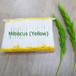 Yellow Hibiscus Stamens