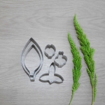 Dendrobium Anucha Fair (Super small)