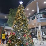 ต้นคริสต์มาสขนาดใหญ่