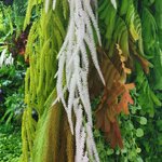 ของประดับต้นคริสต์มาสปลอม