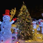 ต้นคริสต์มาสปลอมยอดนิยม