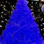 ขายต้นคริสต์มาส