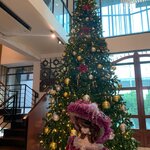 ต้นคริสต์มาสปลอมทุกชนิด