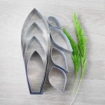 Paph.Sukhakulii (Large)