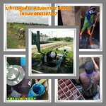 1Phranakhon