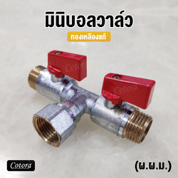 มินิบอลวาล์ว 3 ทาง แยกเปิด-ปิด อิสระ ทองเหลืองแท้ (ผ.ผ.ม.)