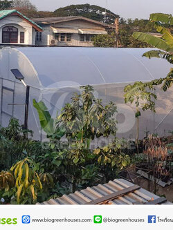 โรงเรือนจั่วโค้ง ขนาด 6x8ม. จ.กรุงเทพ