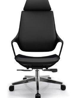 Essen เก้าอี้ทำงานเพื่อสุขภาพ รุ่น Quest-H (แบบมีที่รองหัว)