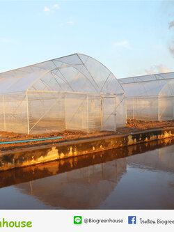 โรงเรือนกอไก่ ชัยภูมิ