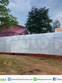 โรงเรือนจั่วโค้ง ขนาด6x12ม. 2หลัง จ.สุราษฎร์ธานี