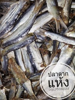 ปลาแห้ง ปลาช่อนแดดเดียว ปลาช่อนตากแห้ง ปลาแดดเดียว ปลาพม่า ปลาช่อนพม่า ปลาพม่าตากแห้ง ปลาตากแห้ง ปลาหัวยุ่ง ปลาทู ขายส่งปลาแห้ง