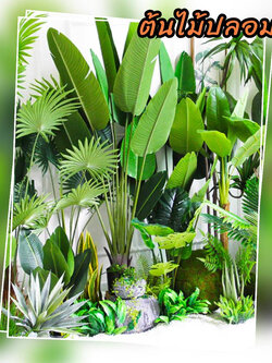 CT183D080 TROPACL ต้นไม้ปลอม ต้นไม้แต่งบ้าน ต้นไม้