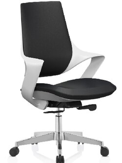 Essen เก้าอี้ทำงานเพื่อสุขภาพ รุ่น Quest (แบบไม่มีที่รองหัว)