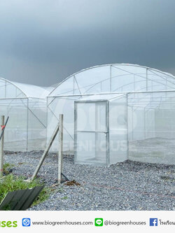 โรงเรือนจั่วโค้ง 6x15 ม. จำนวน2หลัง จ.นครปฐม