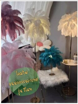 CT191A149 SOTMIA โคมไฟตั้งพื้นขนนกกระจอกเทศพร้อมรีโมท โคมไฟแบบชาร์จไฟได้ Feather โต๊ะกาแฟ Lamp