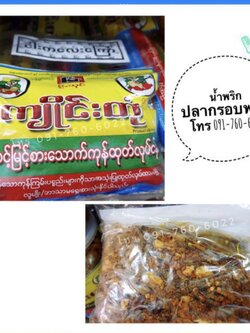 น้ำพริกพม่า น้ำพริกอร่อย น้ำพริกขายดี น้ำพริกสูตรพม่า น้ำพริกต้องลอง น้ำพริกกุ้งพม่า น้ำพริกปลาพม่า บาลาฉ่อง ปาลาฉ่อง น้ำพริกกุ้ง น้ำพริกปลา อาหารพม่า ပဲပုတ်ကြေါ် ထိုဖူးချဉ် ငါးကလေးကြေါ် ပုဇွန်ဆိတ်ကြေါ် ကျိူင်းတုံ မြေပဲကြေါ် မြန်မါအ