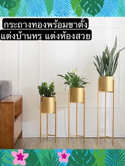 TS061J005 TROPACL กระถางทองทรงสูง กระถางต้นไม้ กระถางสวยๆ GOLD PLANT POT