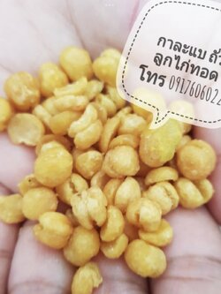 ถั่วพม่า ถั่วลูกไก่ ถั่วลูกไก่ทอด ถั่วชิคพี chickpea ถั่วลูกไก่อบกรอบ ถั่วราคาส่ง ขายส่งถั่ว ถั่วทอด กาละแบ ถั่วกาละแป กาละแป ถั่วกะละแปทอด