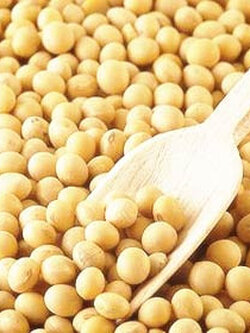 ผลิตภัณฑ์อาหารเสริม สารสกัดจากถั่วเหลือง