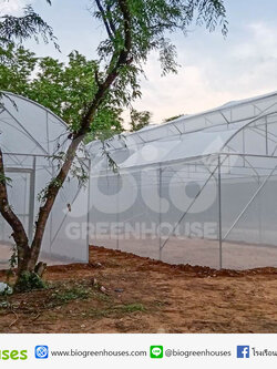 โรงเรือนปลูกผัก จำนวน2หลัง จ.กาญจนบุรี