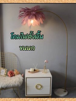 CT191A151 SOTMIA โคมไฟตั้ั้งพื้นขนนก โคมไฟพร้อมรีโมท Feather Lamp