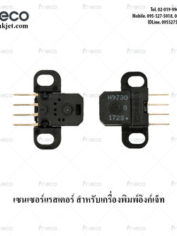 เซ็นเซอร์ แรสเตอร์