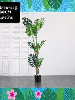 TS061J018 TROPACL ต้นไม้ปลอมตกแต่งบ้าน ต้นมอนสเตอร่า 160ซม. ARTIFICIAL PLANT ต้นไม้ปลอม ต้นไม้แต่งห้อง ต้นไม้ทรงสูง