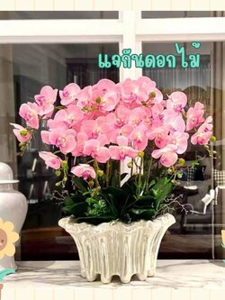 CT211E051 DECHOME Flower ornaments แจกันดอกไม้ ตกแต่งบ้าน ของขวัญขึ้นบ้านใหม่ ของขวัญ