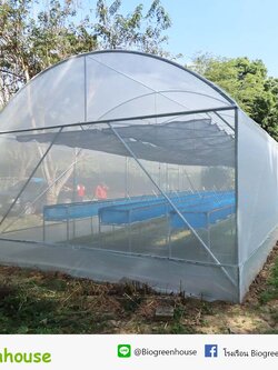 โรงเรือน พร้อมระบบมินิสปริงเกอร์ กาญจนบุรี