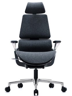 Essen เก้าอี้ทำงานเพื่อสุขภาพ รุ่น Absolute