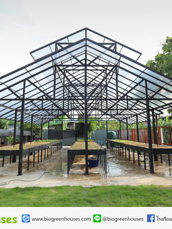 สปริงเกอร์ และพ่นหมอก จ.ปทุมธานี