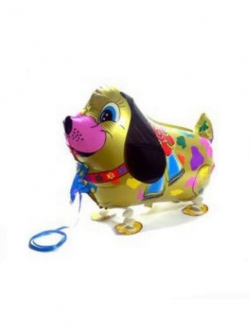 ลูกโป่งสุนัขสีทองเดินได้ / ลูก