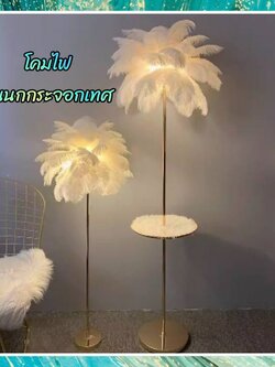 CT191A148 SOTMIA โคมไฟตั้งพื้นขนนกกระจอกเทศ โคมไฟแบบชาร์จไฟได้ Feather โต๊ะกาแฟ Lamp