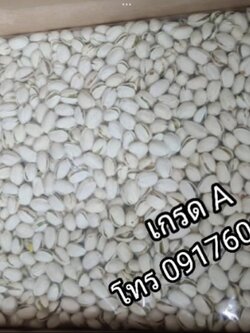 ถั่วพิสตาชิโอ พิตาชิโอ พิตทาชิโอ ถั่วพิตทาชิโออบ เกรดอย่างดี จัมโบ้ เม็ดเต็ม ราคาส่งยกลัง